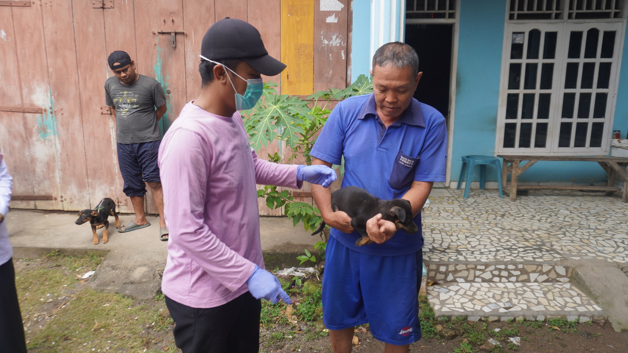 Rabies Masih Jadi Ancaman Serius di Pinrang: Pemkab Perkuat Vaksinasi dan Layanan Rabies Center